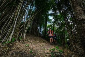 BIB: 
                            <button type="button" onclick="openModal(19395679)" class="btn btn-primary btn-sm float-right btn-popup" data-toggle="modal" data-target=".modal-high-quality">
                        <i class="fas fa-shopping-cart"></i> Add to Cart
                    </button>
                                            <button type="button" onclick="isThisMe(19395679, true)" class="btn btn-success btn-sm float-right btn-popup btn-isme hidden" data-toggle="tooltip" data-placement="bottom" title="นี่คือรูปของคุณใช่ไหม คลิกที่นี่เพื่อเอาเข้าอัลบั้ม">
                        <i class="fas fa-plus"></i> Add to album
                    </button>
                    <button type="button" onclick="isThisMe(19395679, false)" class="btn btn-warning btn-sm float-right btn-popup btn-isnotme hidden">
                        <i class="fas fa-ban"></i> Remove from album
                    </button>